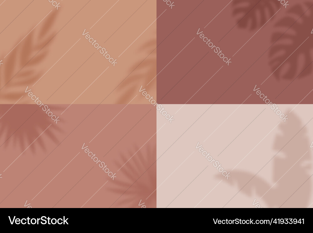 Leaf shadows on different backgrounds set of four Leaf shadows on different backgrounds set of four Vector Image