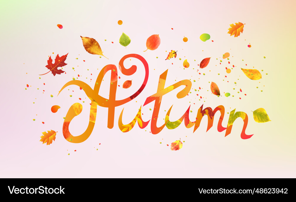 Autumn text with blur background vector image