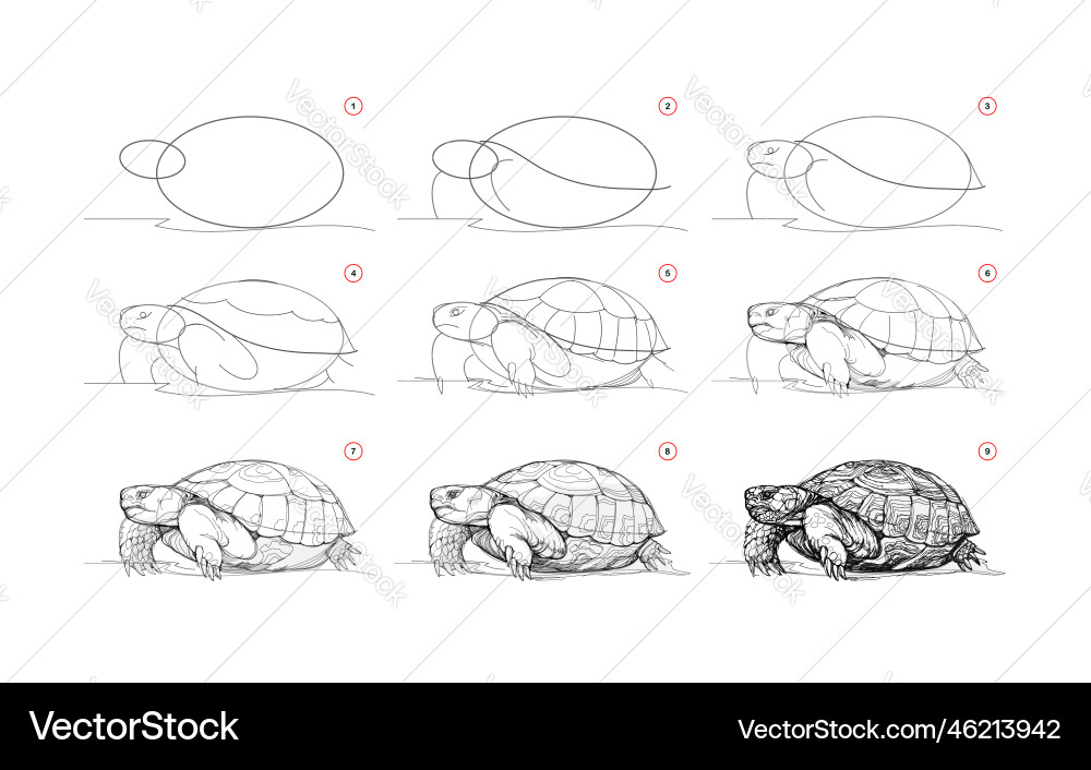 Page shows how to learn draw sketch a desert Vector Image