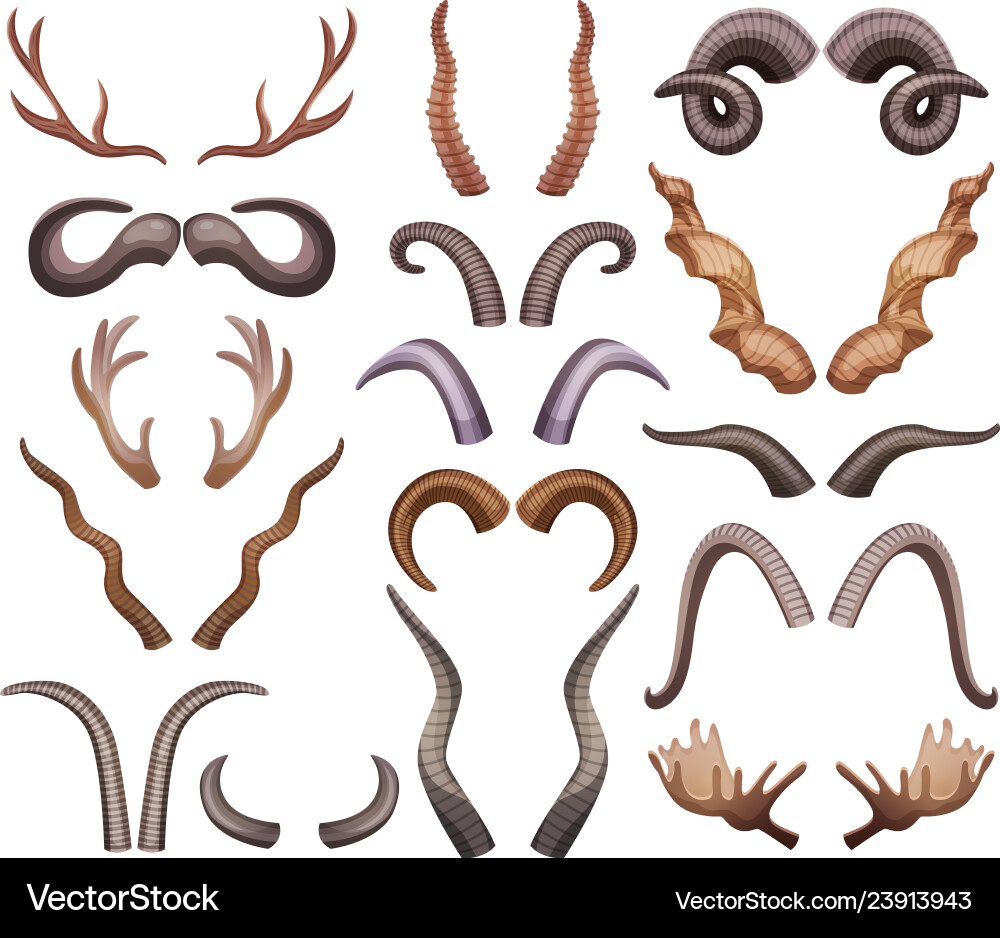 Animal Horns Collection - Diverse Shapes Vector Image