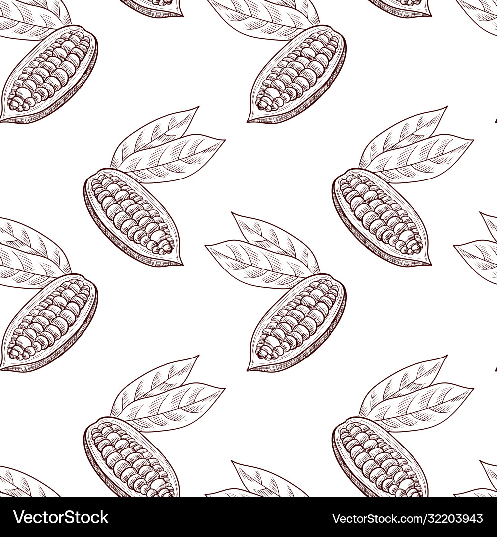 Drawing seamless pattern with cocoa fruit Drawing seamless pattern with cocoa fruit vector image