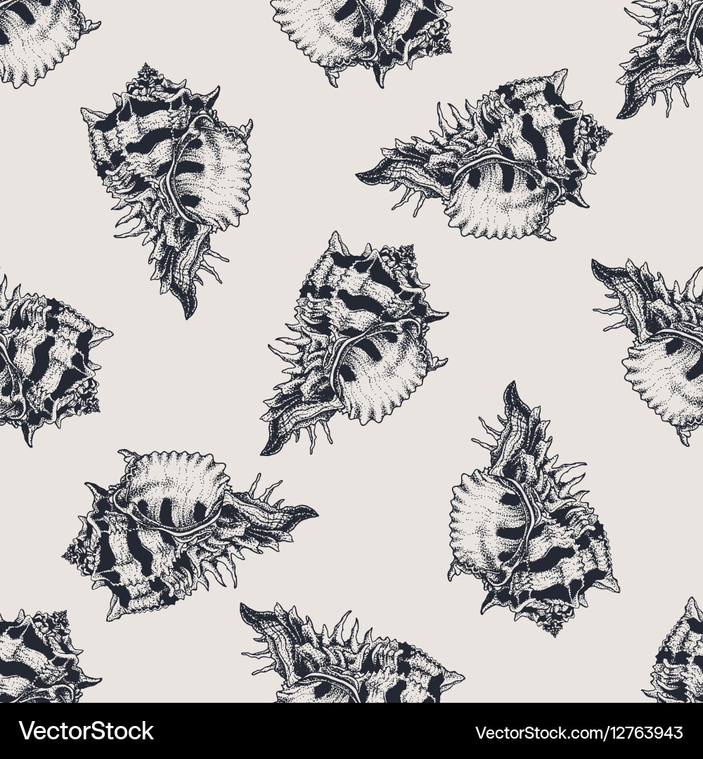 Exotic Shell Pattern - Grunge Texture vector image