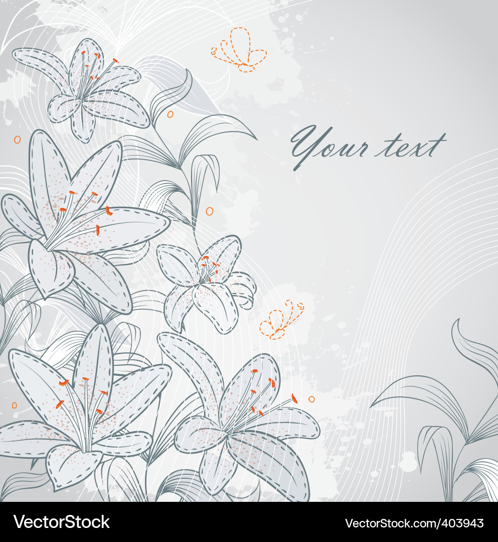 Lily background Vector Image