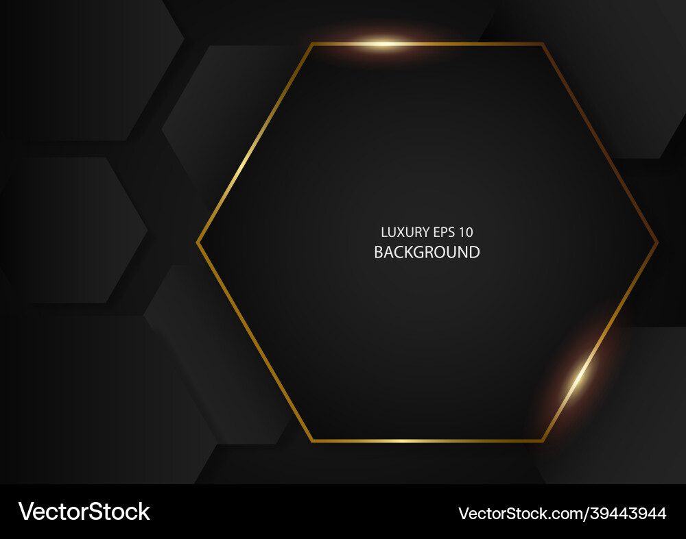 Abstract black hexagonal shapes with gold frame Abstract black hexagonal shapes with gold frame vector image