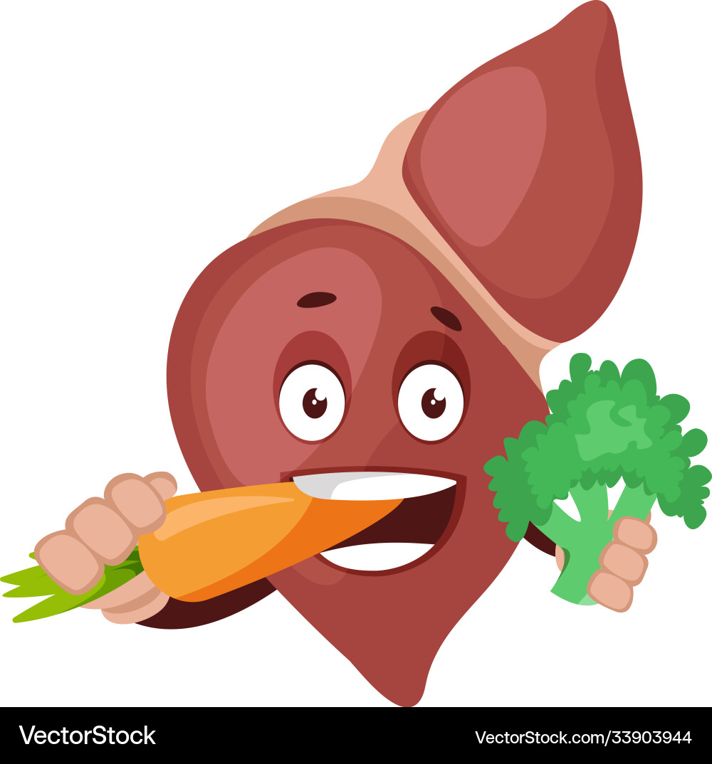 Liver Royalty Free Vector Image - VectorStock