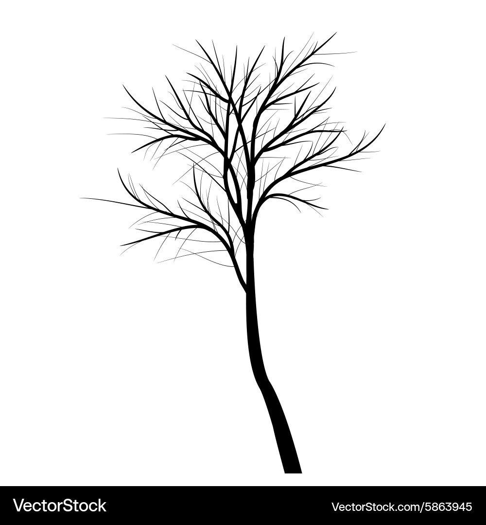 Dead Branch Tree Silhouette Vector Image