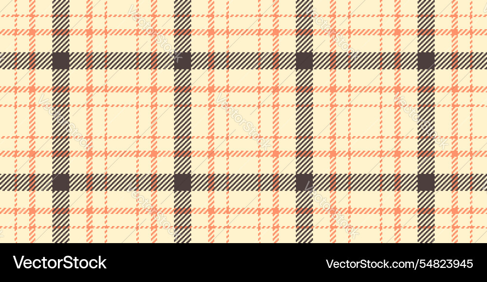 Scratch plaid textile texture minimal background vector image