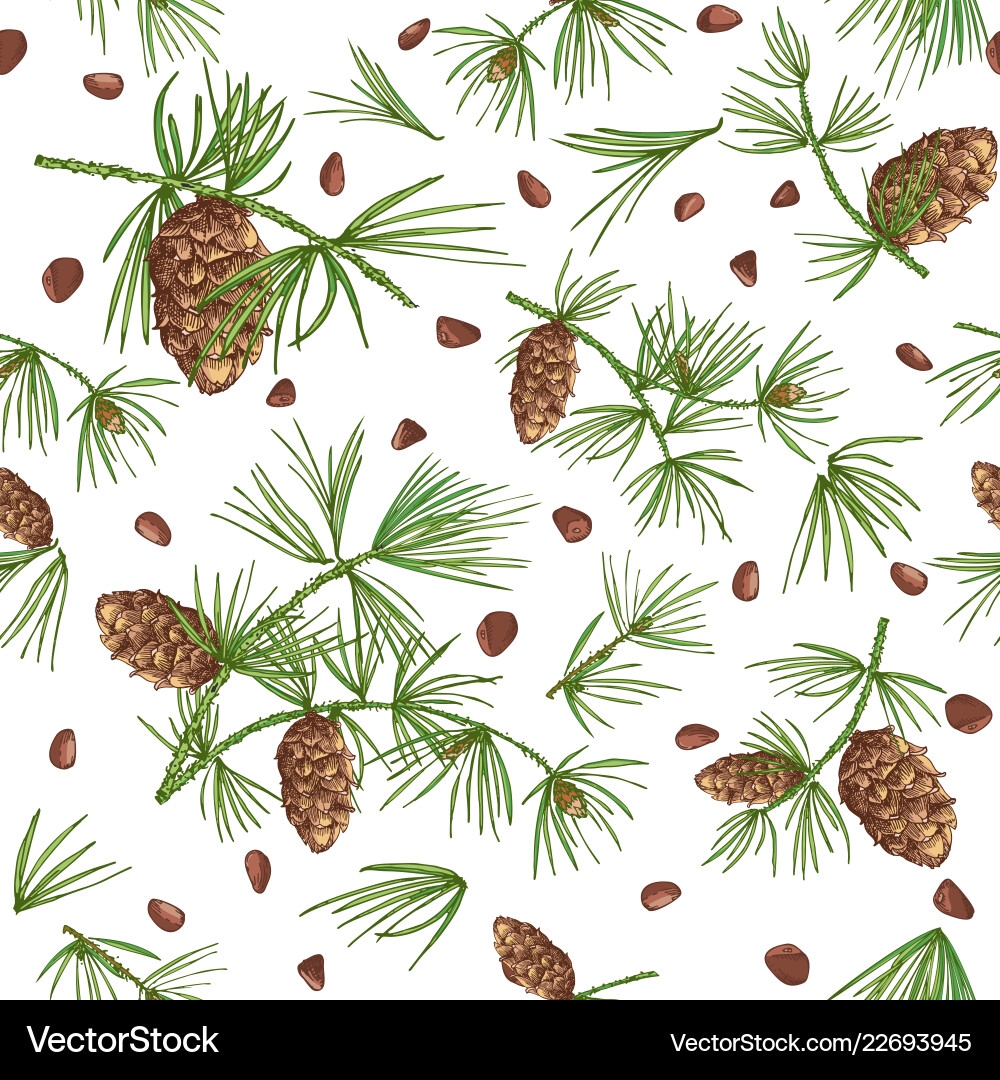 Seamless pattern with color cedar branches Seamless pattern with color cedar branches vector image