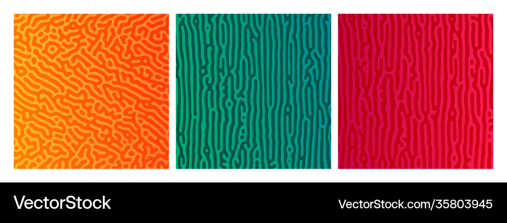 Set three colorful turing reaction gradient Set three colorful turing reaction gradient vector image