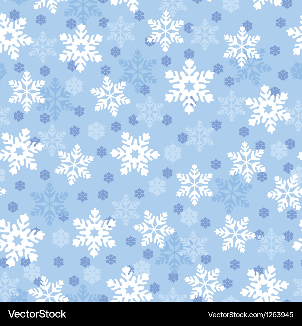 Snowflake Pattern vector image