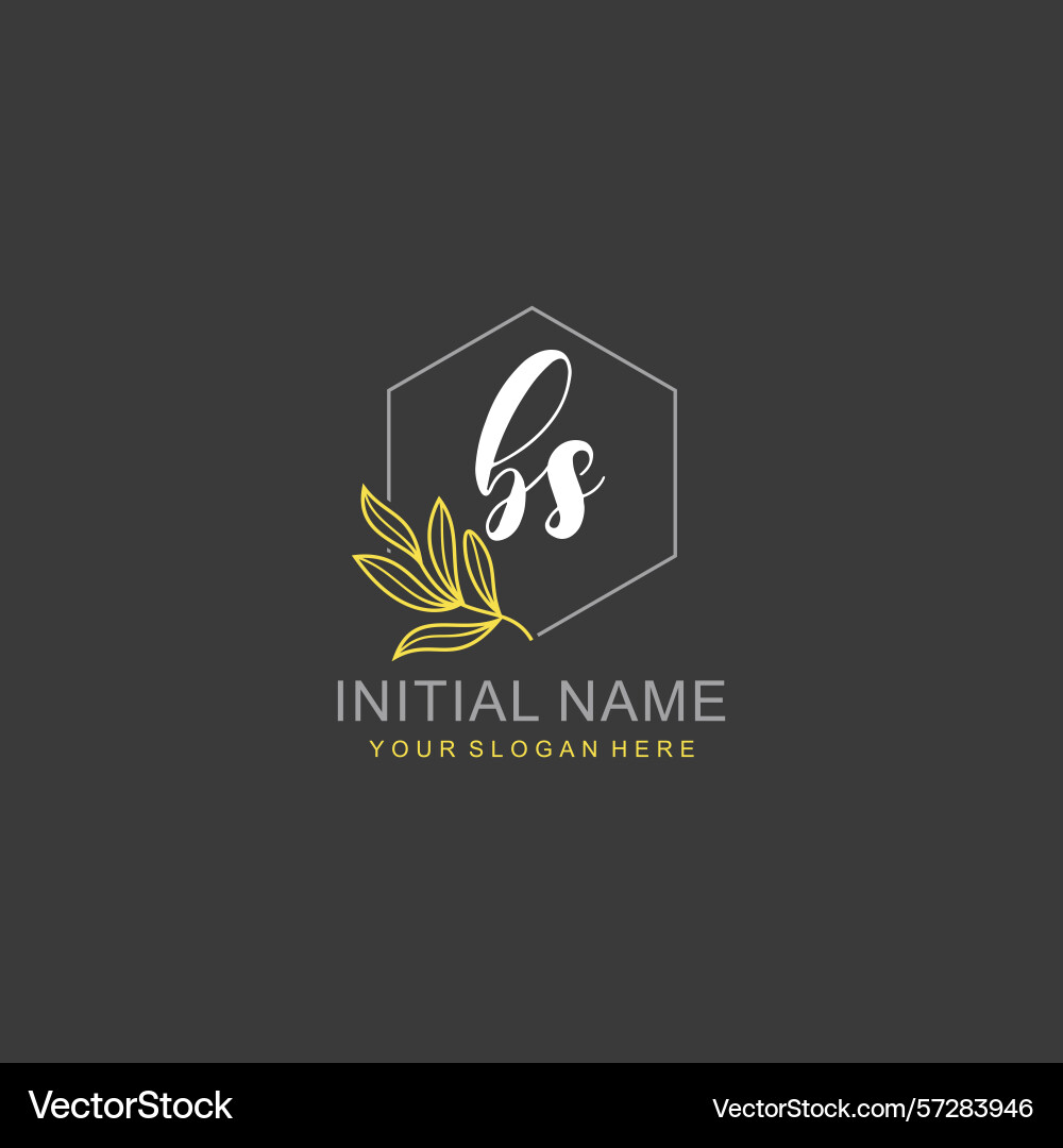 Bs initial logo templates with botanical elements Vector Image