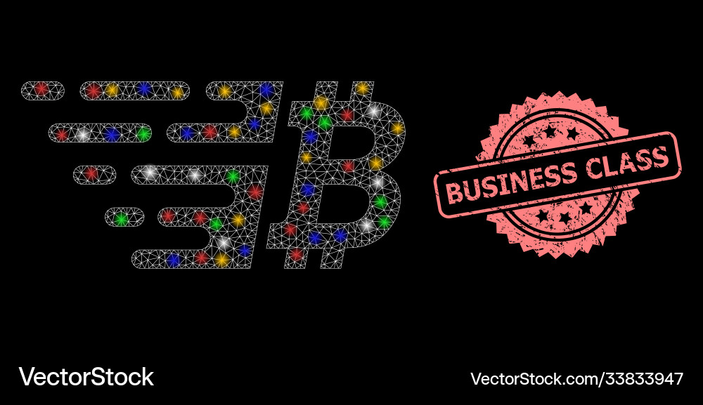 Rubber business class seal and net bitcoin Rubber business class seal and net bitcoin vector image
