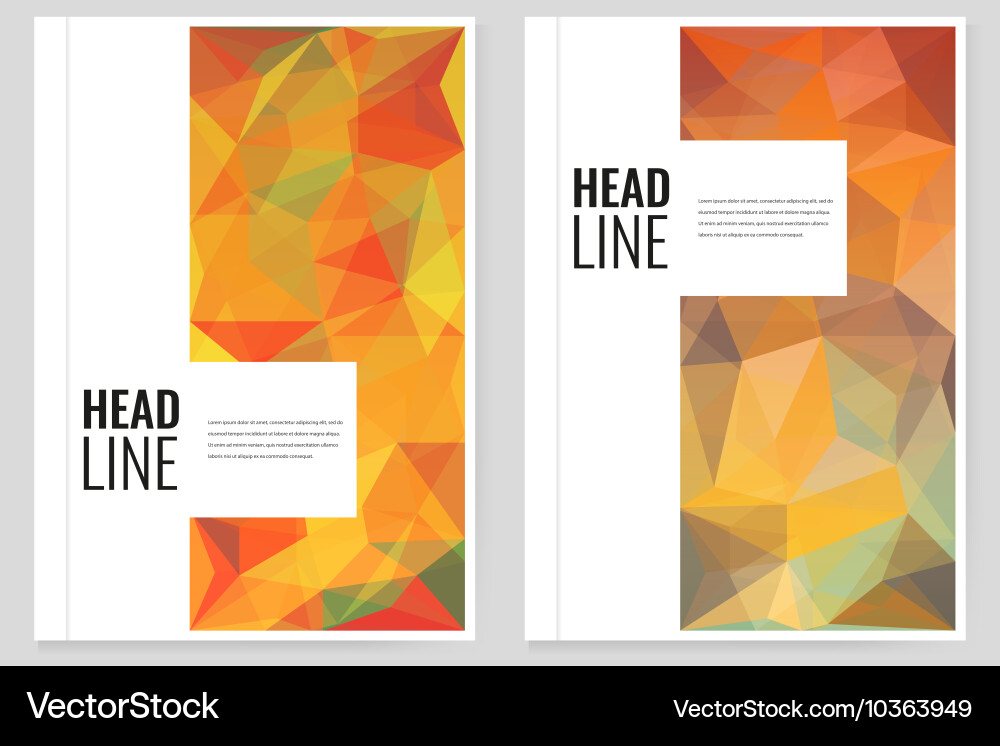 Abstract triangle brochure flyer design template vector image