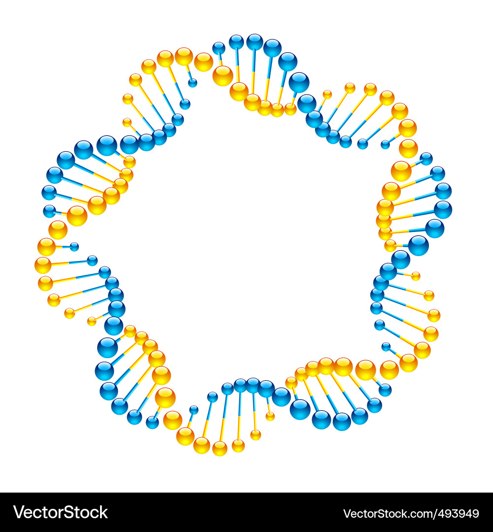 DNA Helix Structure Royalty Free Vector Image - VectorStock