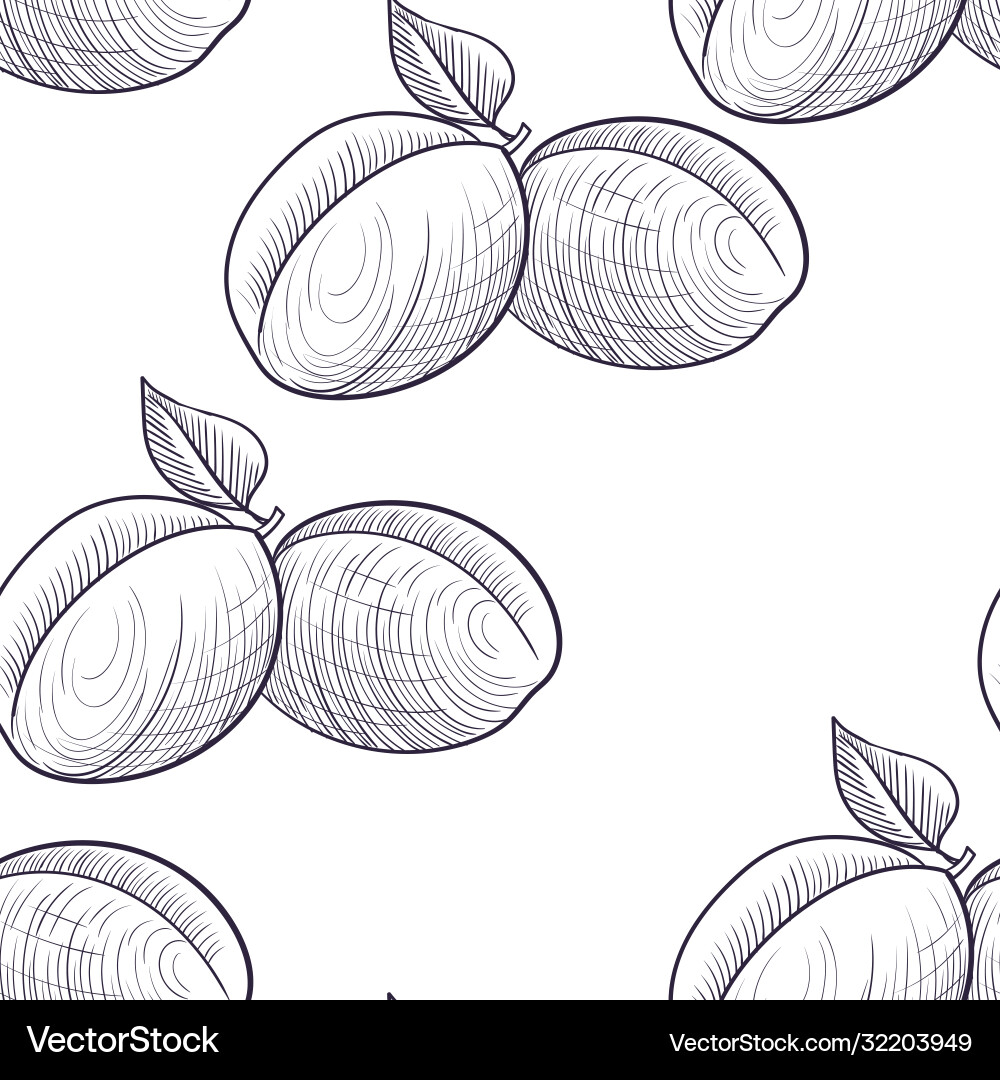 Drawing seamless pattern with apricots Drawing seamless pattern with apricots vector image