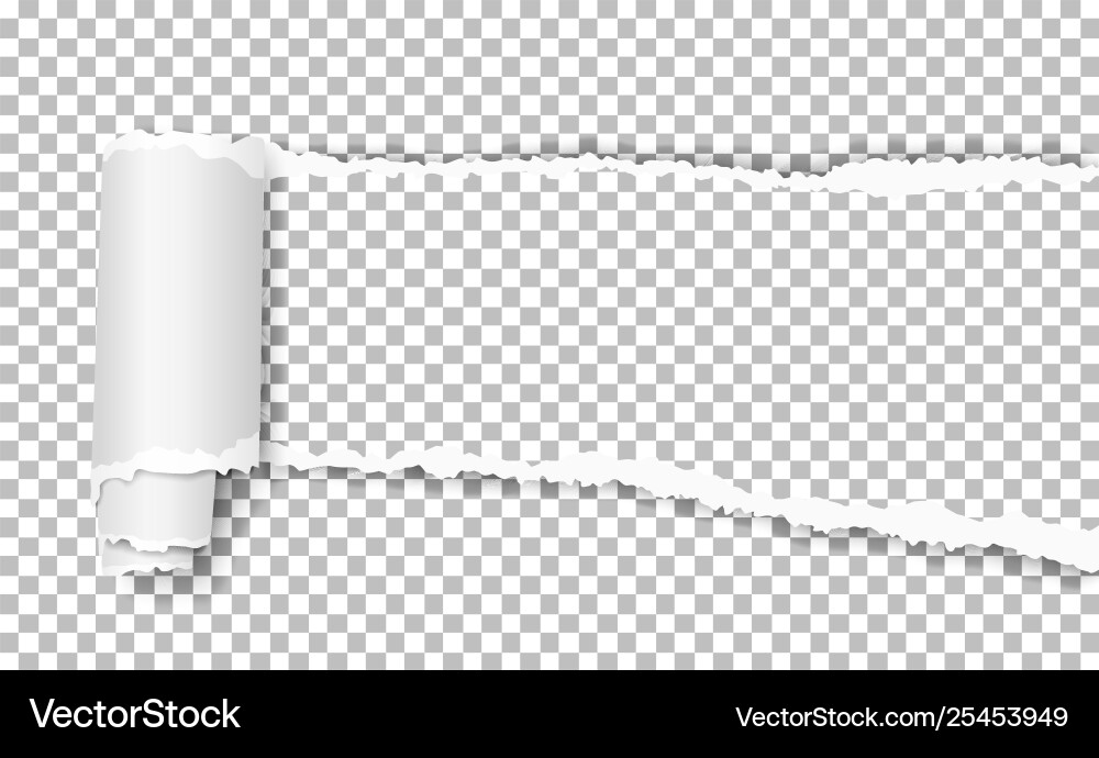 Transparent torn wisp paper with curl Vector Image
