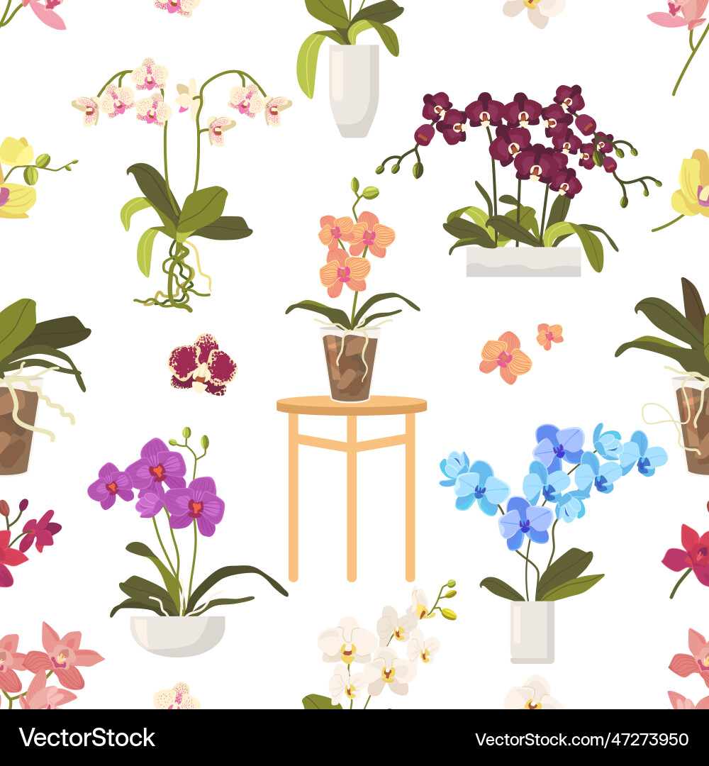Elegant orchids create a seamless pattern Elegant orchids create a seamless pattern Vector Image