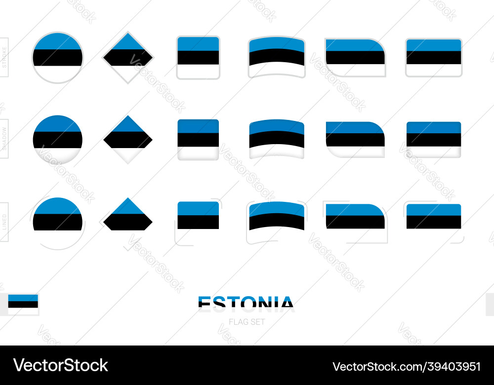 Estonia flag set simple flags of Vector Image