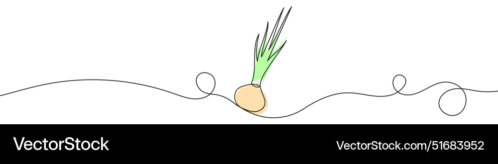 Continuous editable line drawing of onion one Vector Image