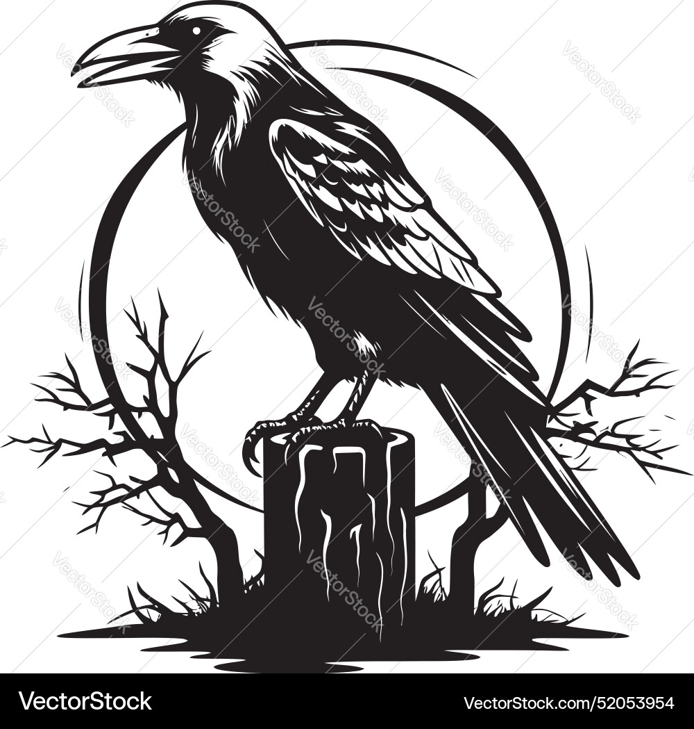 Brooding raven and skull symbol graphic design Vector Image