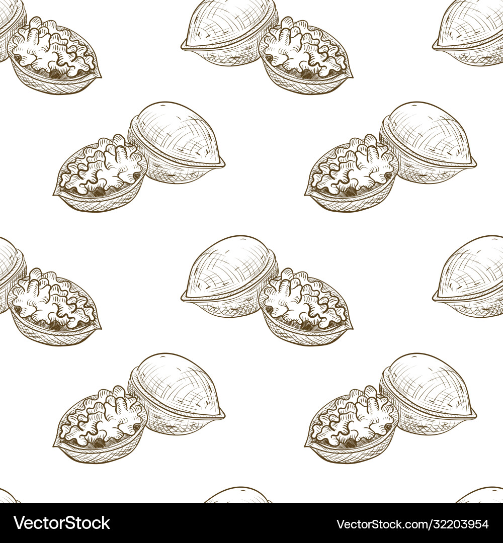 Drawing seamless pattern with walnut Drawing seamless pattern with walnut vector image