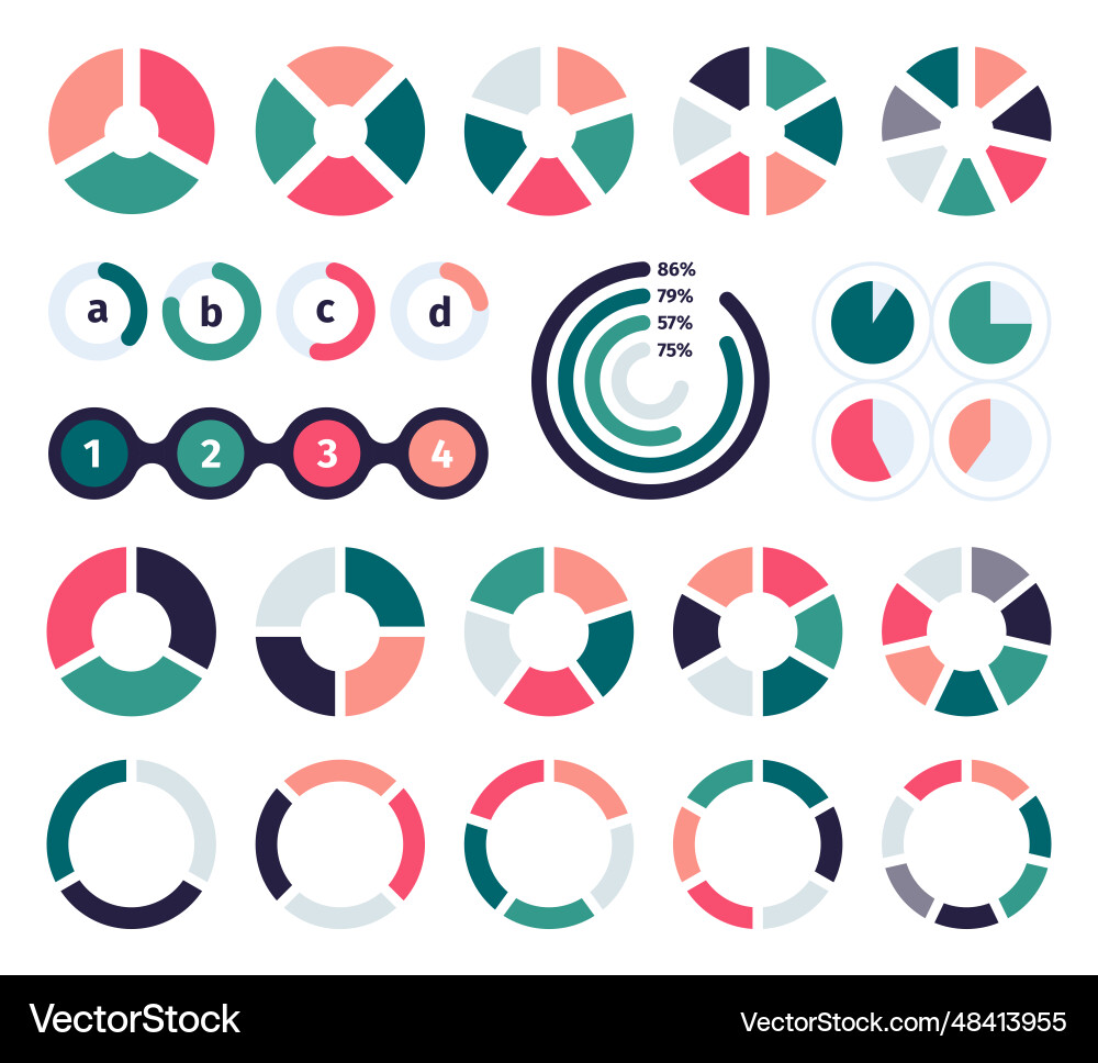 Pie Chart Data Visualization Set vector image