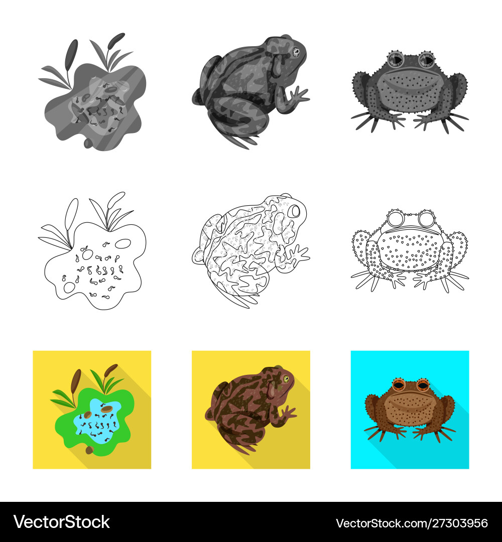 Isolated object wildlife and bog symbol set Vector Image