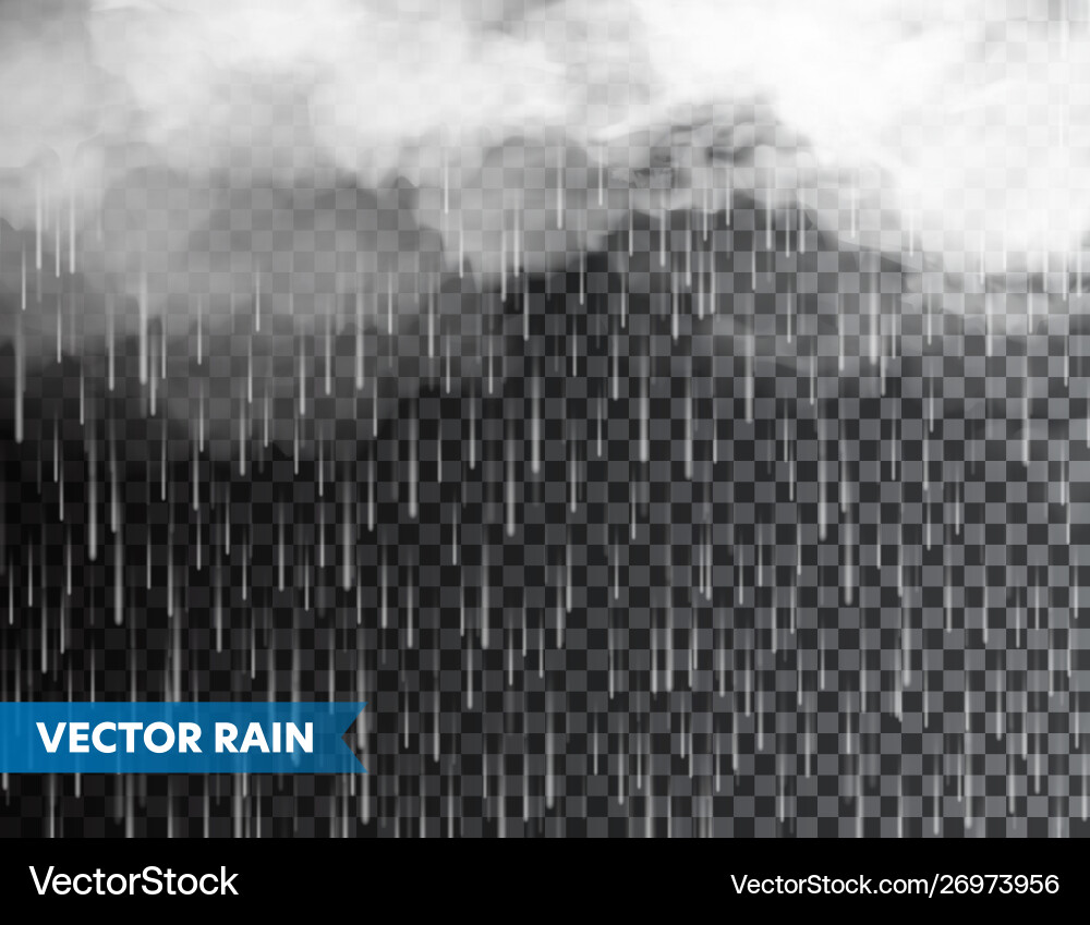 Realistic rain with clouds on transparent Realistic rain with clouds on transparent vector image