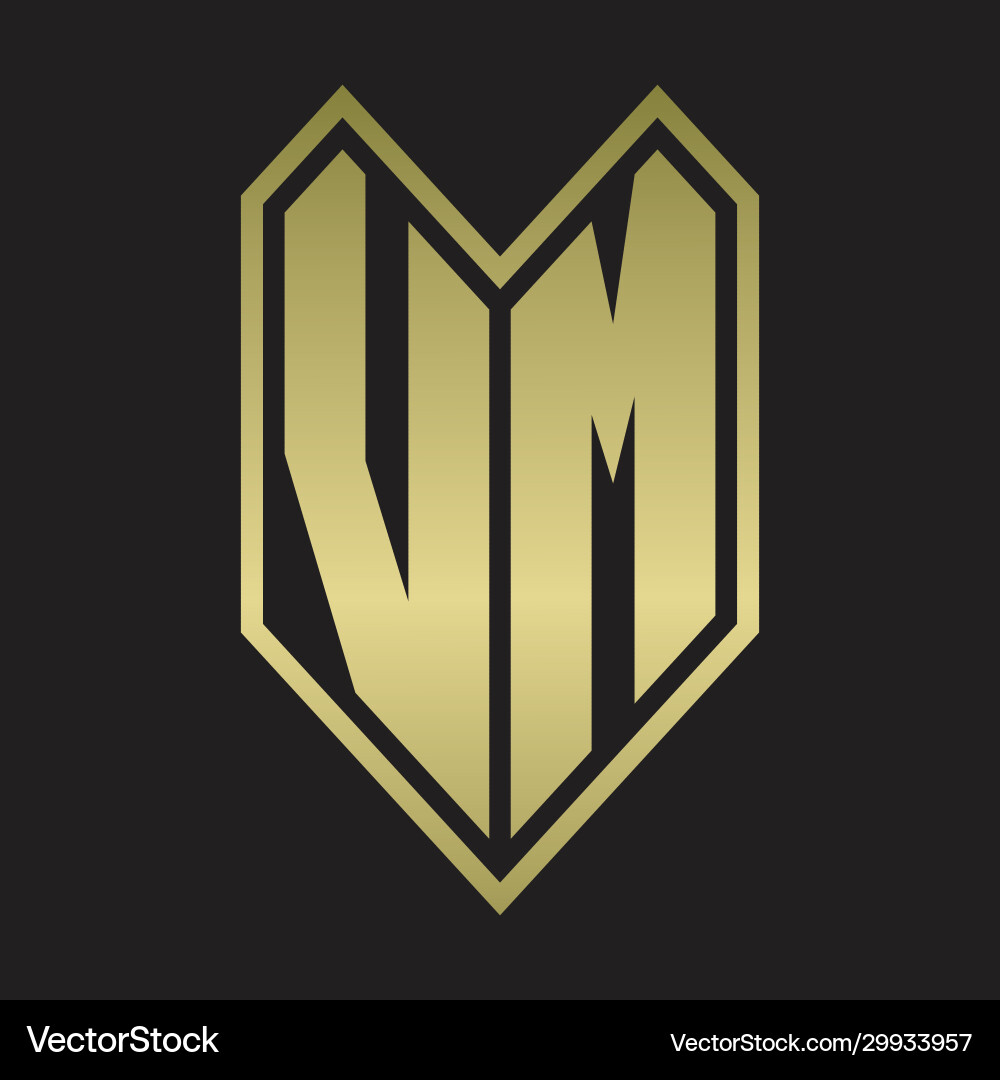 Vm logo monogram with emblem line style isolated vector image