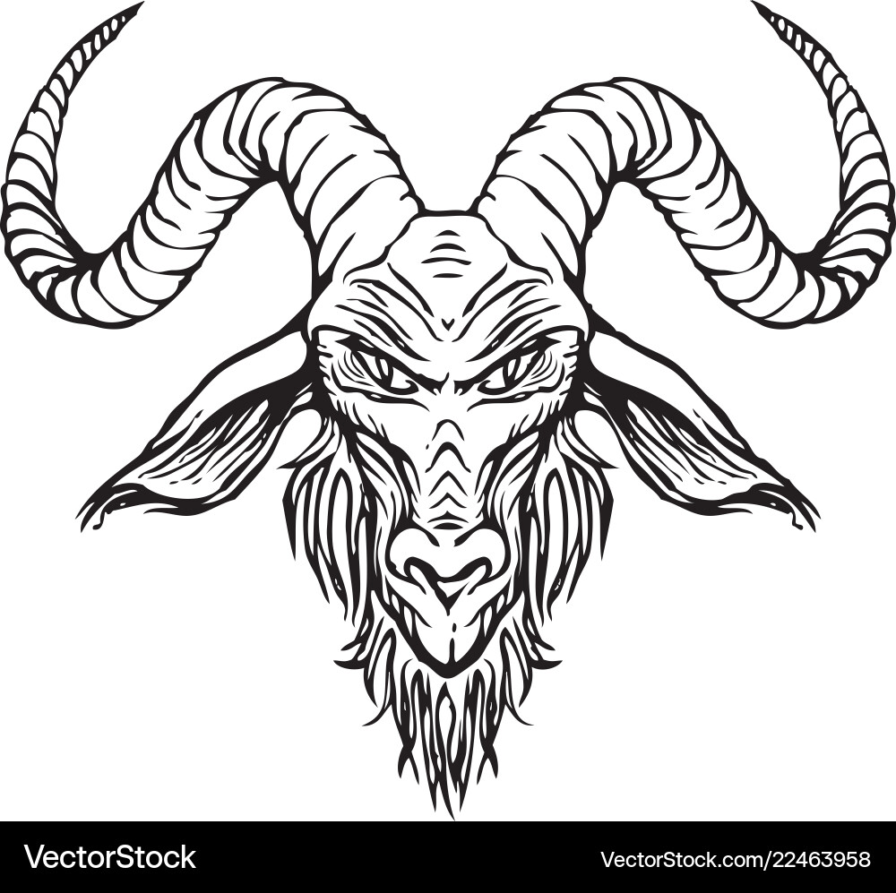 Contour drawing of horned goat head Contour drawing of horned goat head vector image