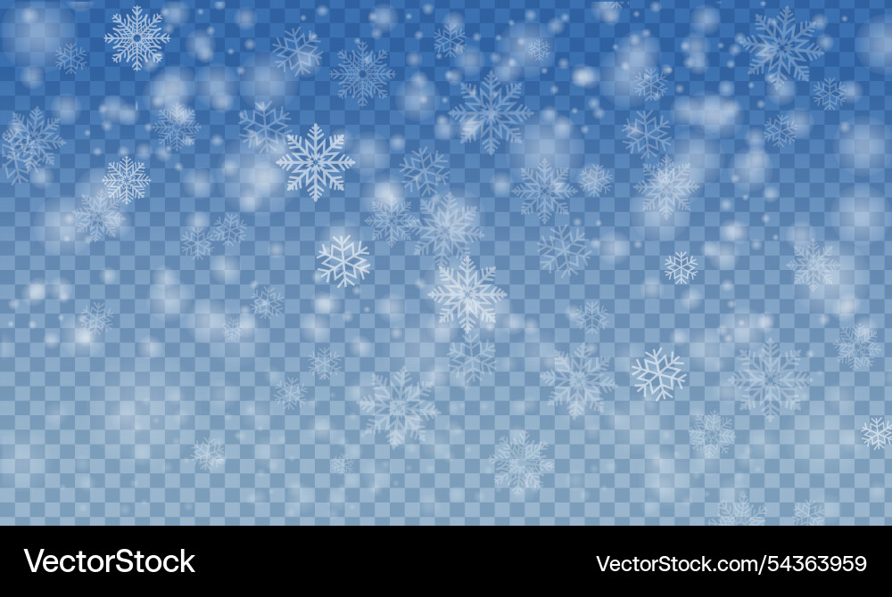 Snowfall and with snowflake transparent background Snowfall and with snowflake transparent background vector image
