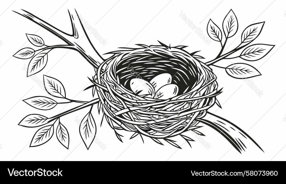 Nest with Three Eggs - Spring Symbol Vector Image