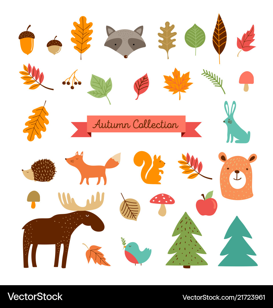 Autumn Forest Animals & Leaves Vector Image