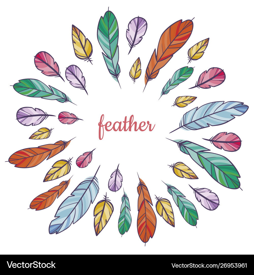 Design template with feathers for invitations Vector Image