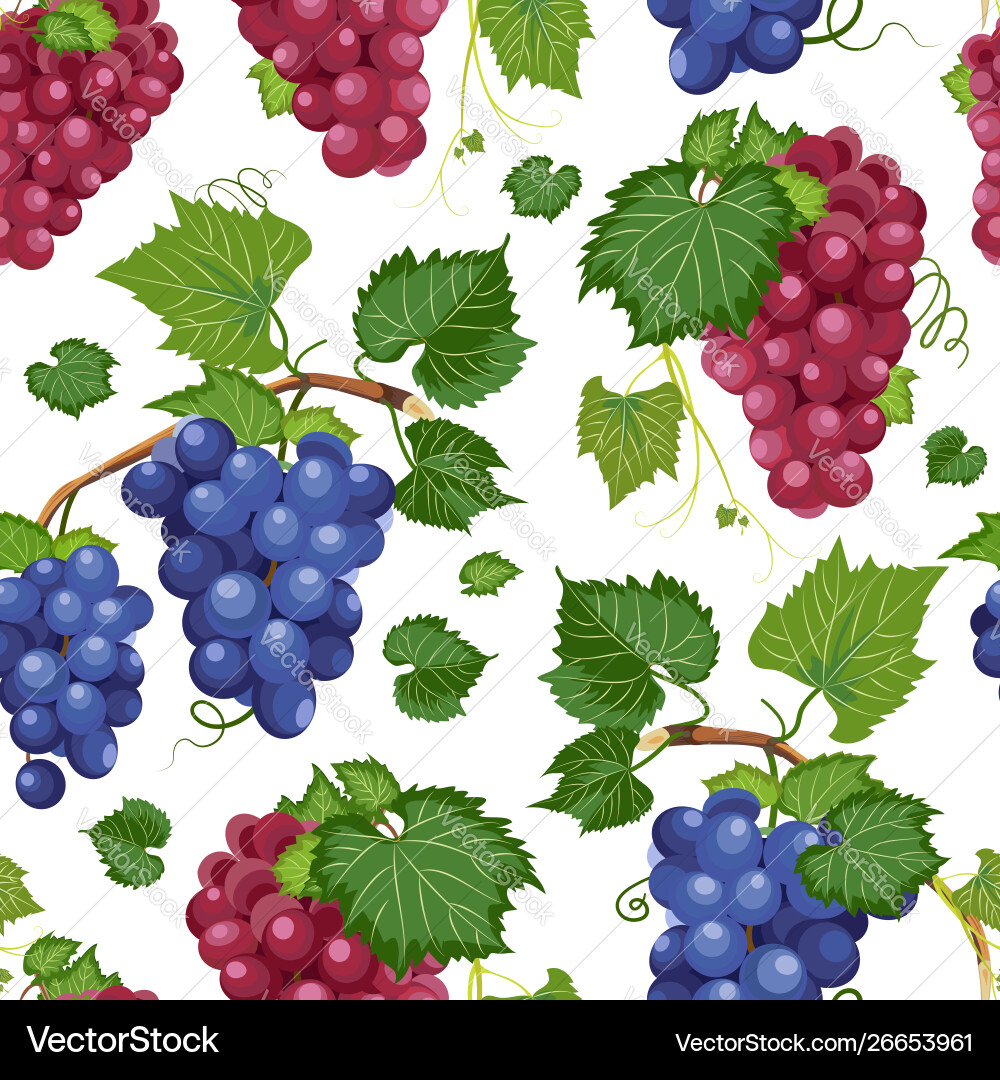 Grape Vine Pattern - White Background vector image