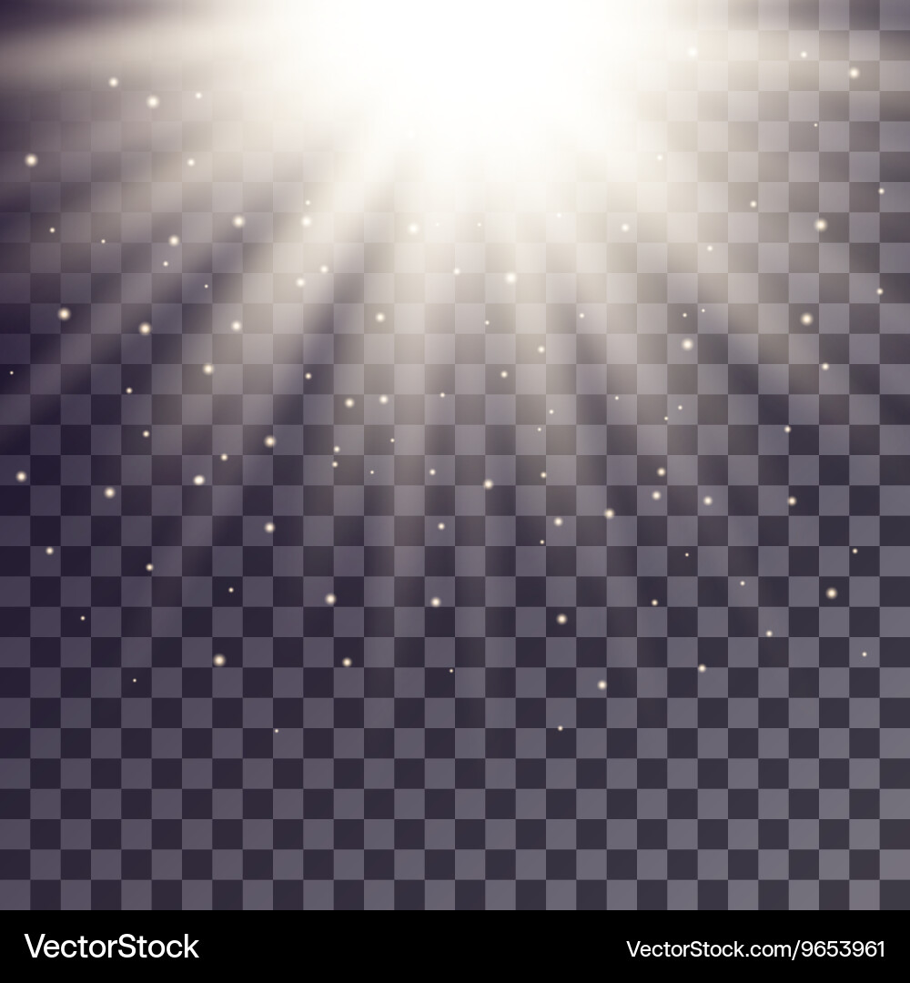 White rays from top with shiny particles vector image