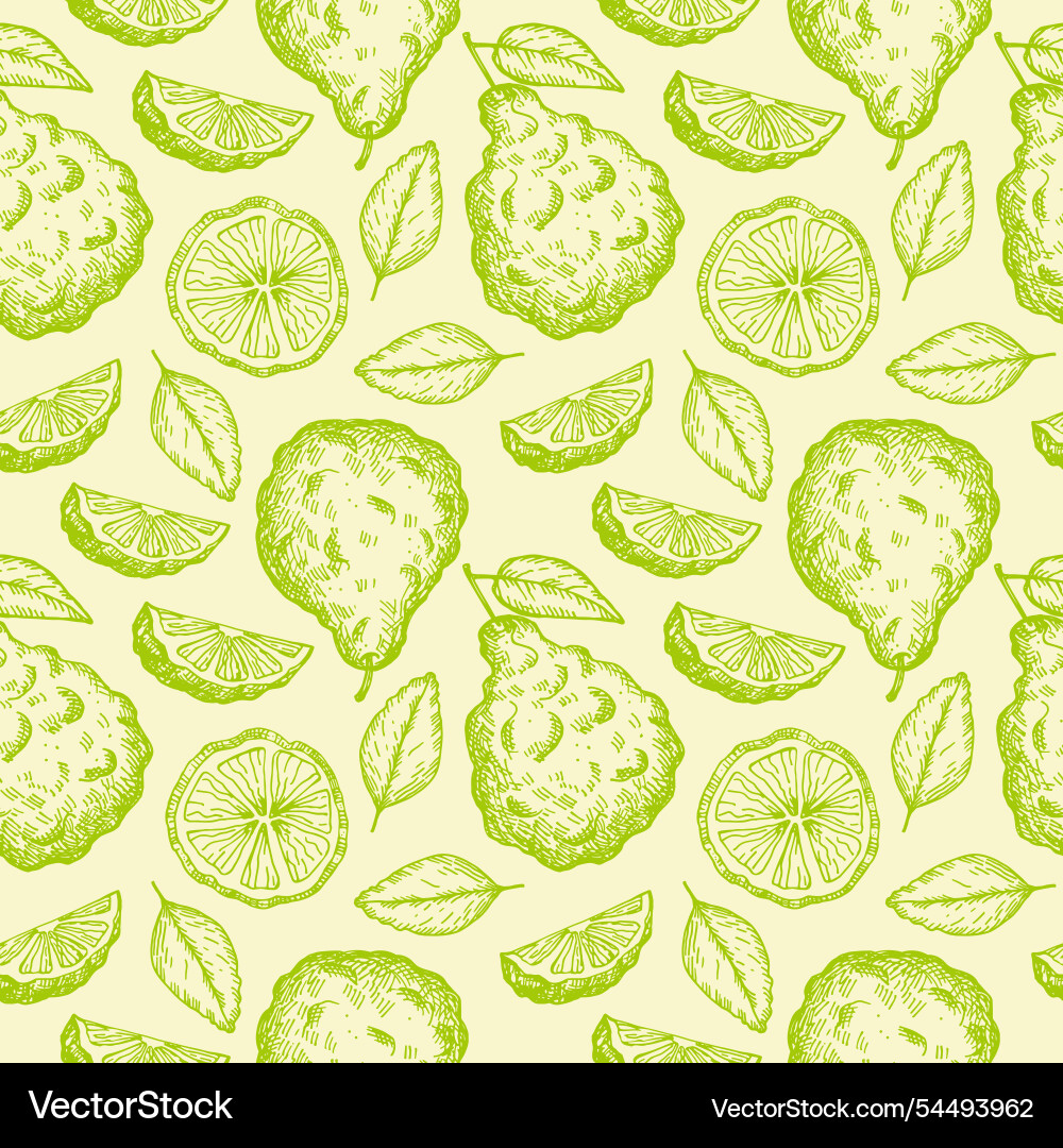 Bergamot engraved repeating background Royalty Free Vector