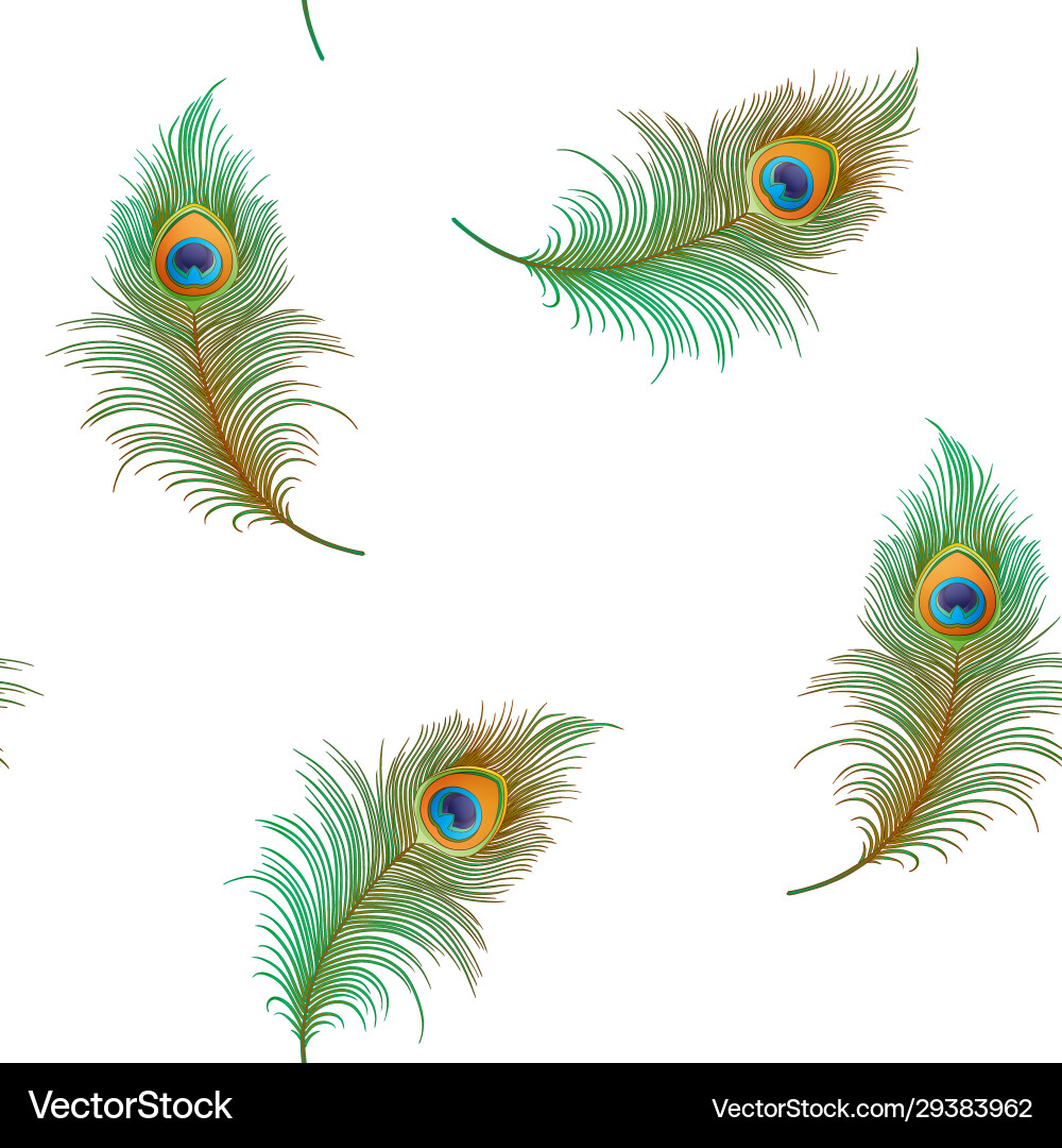 Peacock feathers seamless pattern background Peacock feathers seamless pattern background vector image