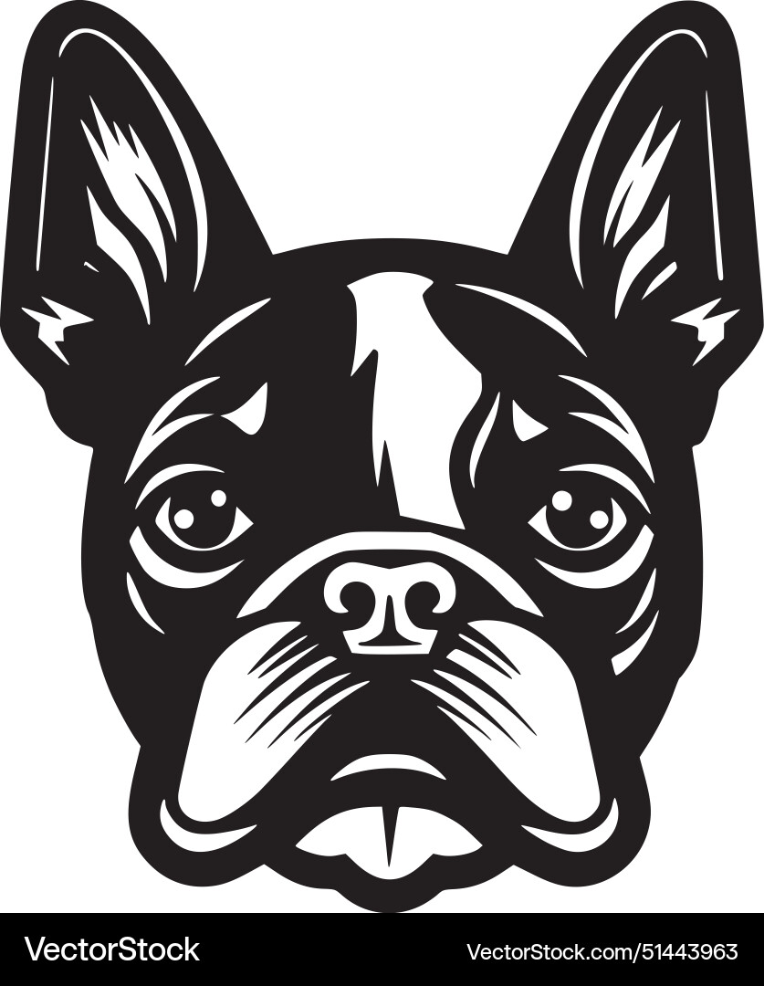 Französischer Bulldogge - minimalistische und einfache Silhouette Französischer Bulldogge - minimalistische und einfache Silhouette vektorbild