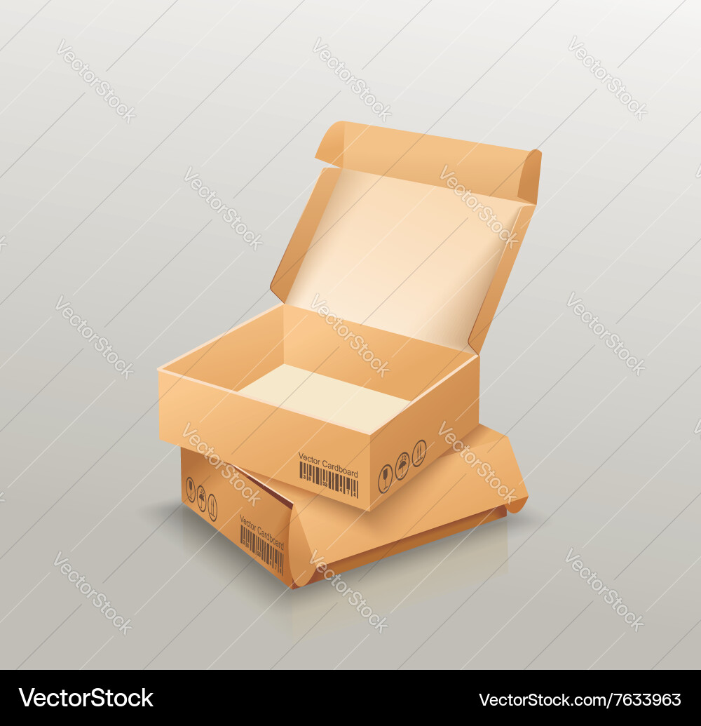 Opened and closed empty cardboard box recycle Vector Image
