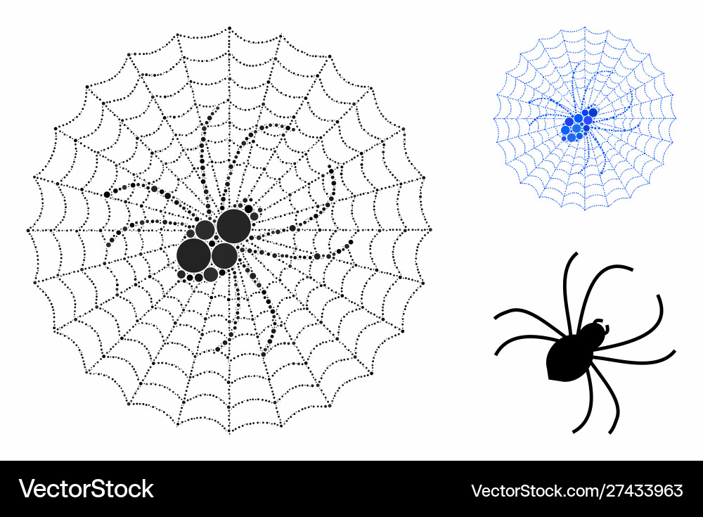 Spider net composition icon circles Vector Image