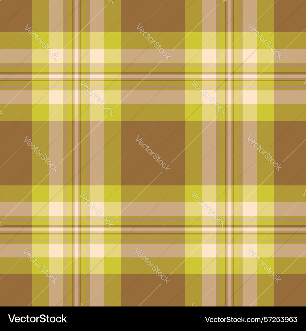 Warmtoned plaid pattern with intersecting lines Vector Image