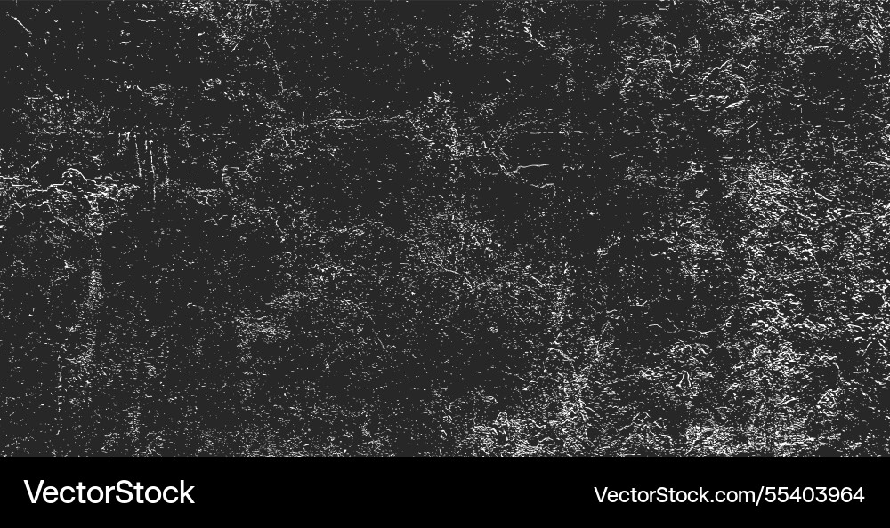 Black & White Grunge Texture vector image