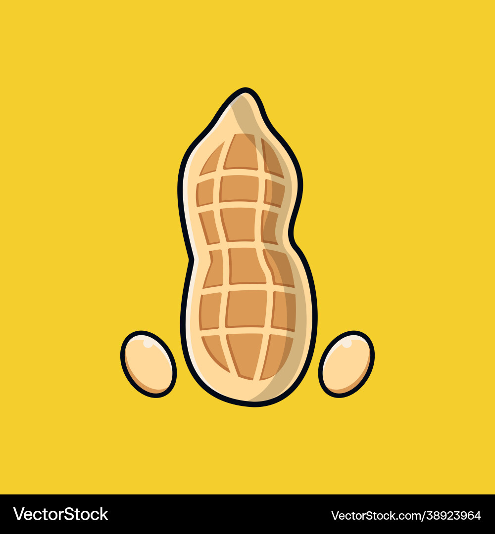 Peanut with simple style line Vector Image