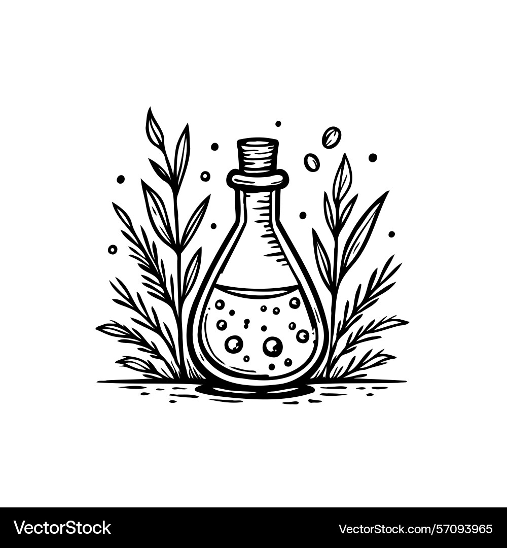 Botanical elixir a delicate flask surrounded Botanical elixir a delicate flask surrounded Vector Image