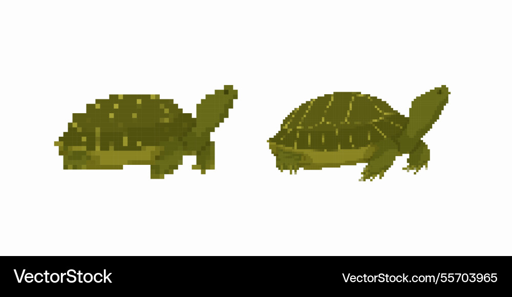 Pixel art style green turtles with detailed shells