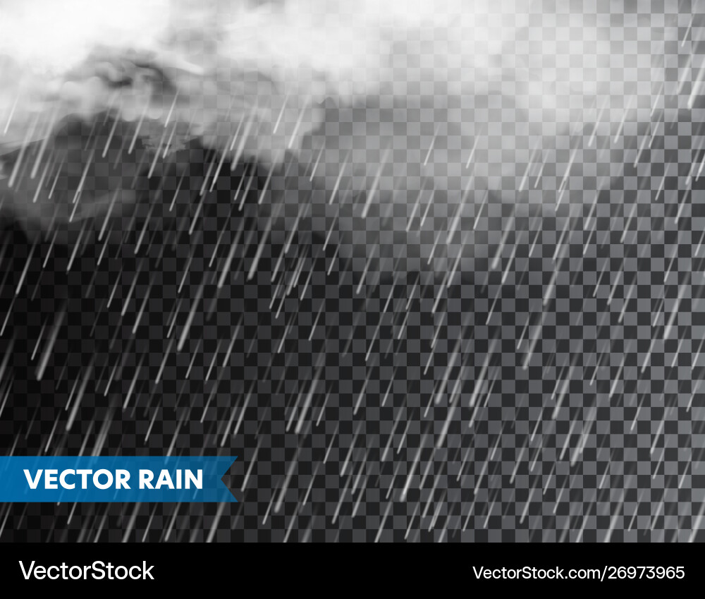 Realistic rain with clouds on transparent Realistic rain with clouds on transparent vector image