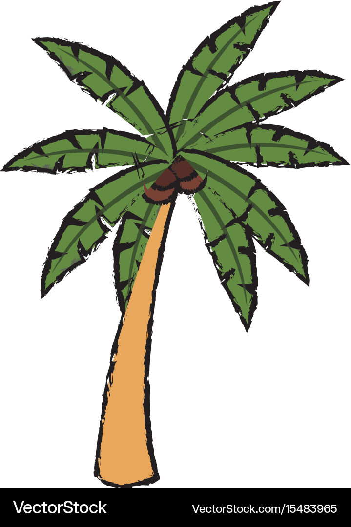 Tropical Palm Tree Vektorbild
