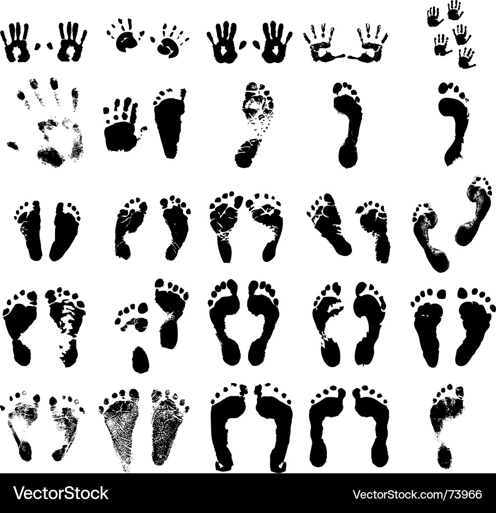 Handprint and Footprint Collection vector image