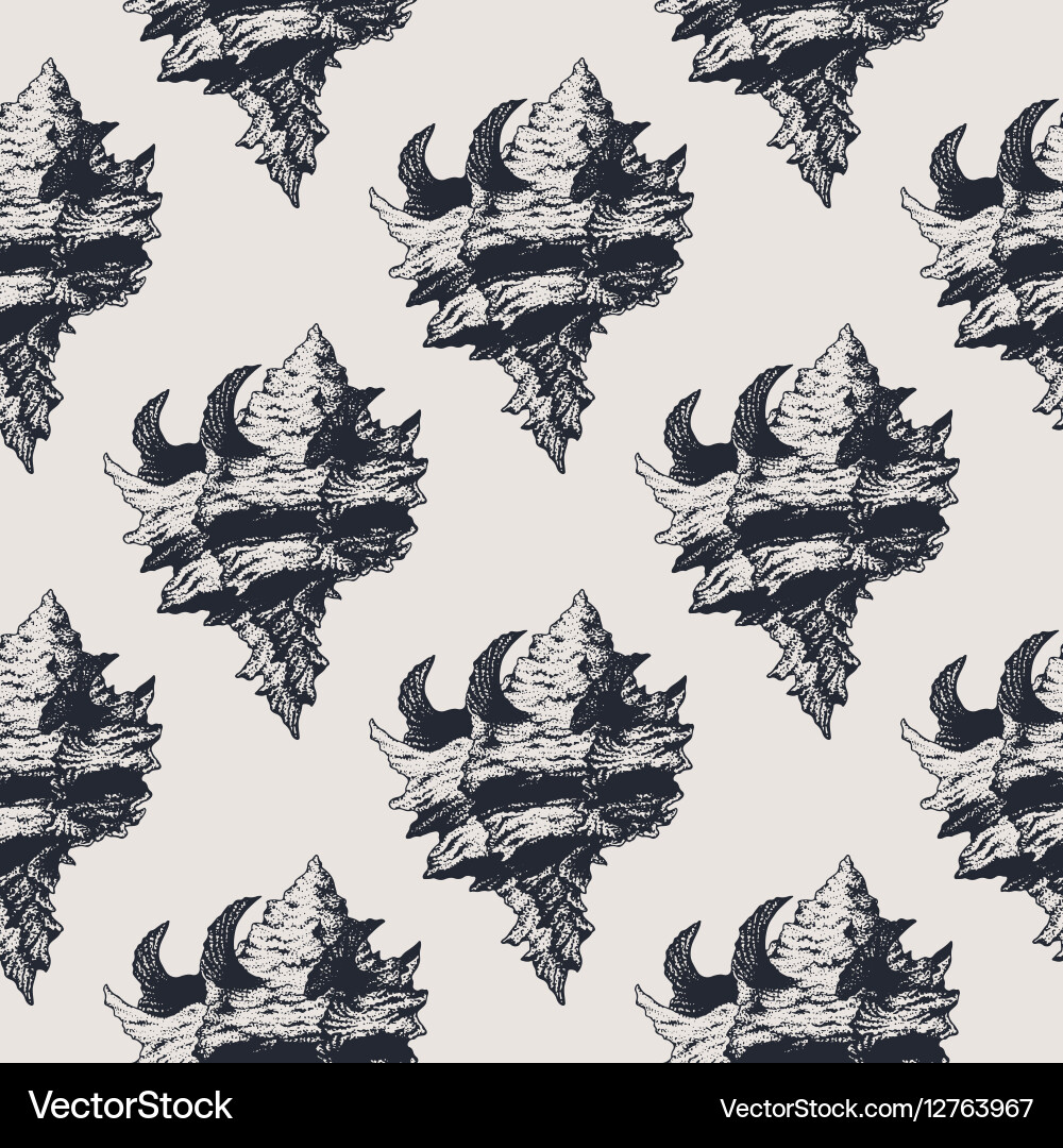 Exotic Seashell Pattern vector image